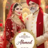 Pakistani Marriage Bureau USA – Shaadi &amp; Rishta in New York, Houston &amp; Chicago (8)