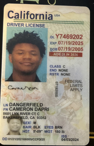 Cameron Dapri Dangerfield license image.jpg