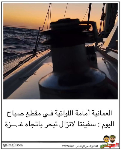 tX8aXg7wO7Gy ajB.jpg