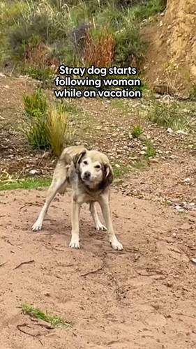 ArrQ1ZBxIJeAvDPO.jpg