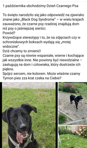 G2M4yvsWYAExBcb.jpg