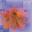 43d9b9f25813.png