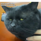 Screenshot 10.png
