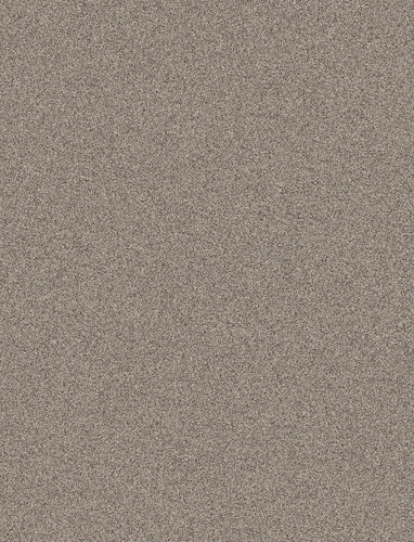 IMG 0128.jpg