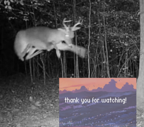 paintdotnet e3yxPPnRih.png