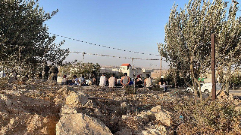 أصيب عدد من الفلسطينيين واعتقل 17 آخرين من قبل قوات الاحتلال والمستوطنين في قرية الزويدين بمسافر يطا جنوبي الخليل....