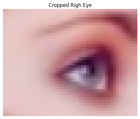 HW cropped eye.png