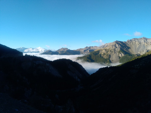 IMG 20250902 081123.jpg