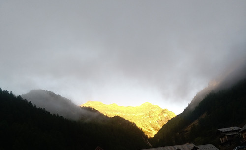 IMG 20250830 071741.jpg