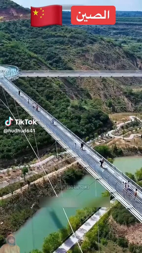 SyYoADTJAaDVtsID.jpg