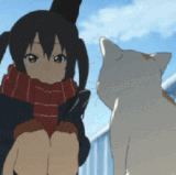 1000020319.gif