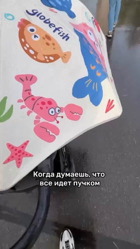 cqRV6 S1jkdpAhvO.jpg