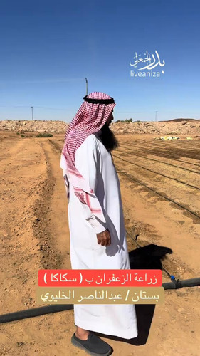 liesjycsirzHWb8B.jpg
