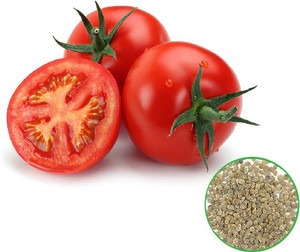50 tomato 50 master green origin.jpg