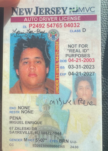 Miguel Enrique Pena license image.jpg