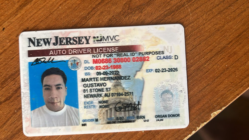 Gustavo Martehernandez license image.jpg