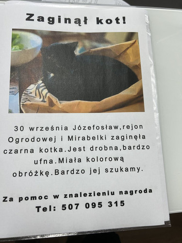 G2QsjIRWsAAaQ11.jpg