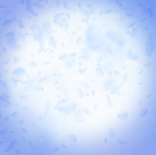 light blue flower petals falling down worthy romantic flowers gradient flying petal on blue sky squa.jpg