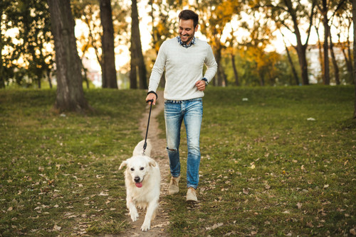 Handsome man walking his dog in the park..jpg