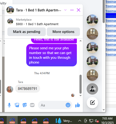 Tara.png
