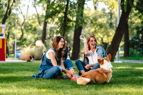 Two female friend in the park at lawn play with little dog.jpg