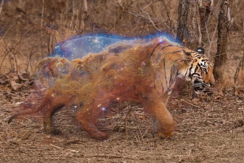 Cosmic Tiger.png