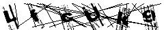 test.jpg