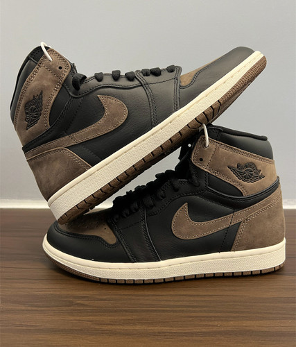 Nike Air Jordan 1 Retro High OG Black and brown Mocha.jpg