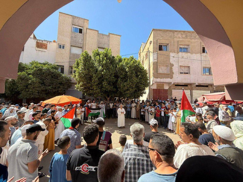 تظاهرات ووقفات تضامنية في عشرات المدن والمناطق بالمغرب؛ إسنادًا لغزة، وتنديدًا بقرصنة الاحتلال لـ"أسطول الصمود"....