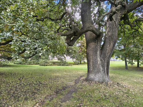 IMG 20250912 144255907 HDR.jpg