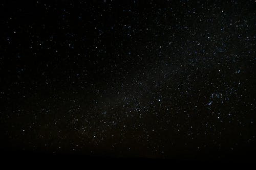 pexels photo 998641.jpg