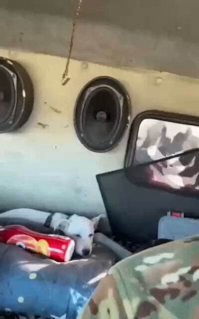 1qY H3acDeO2Jvc .jpg