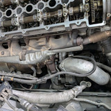PXL 20250408 143833083
