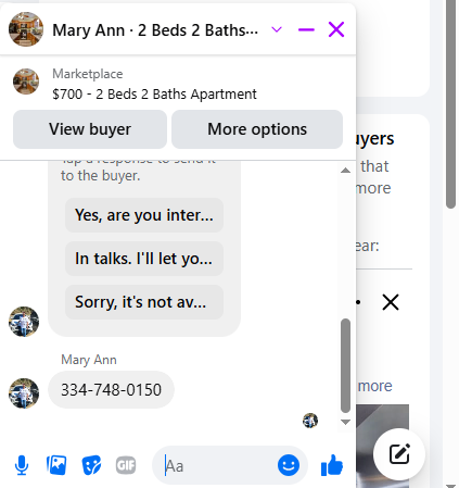 Mary Ann.png