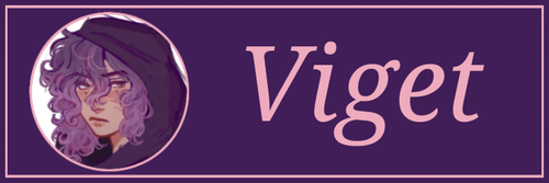 Viget Banner.png