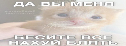 file 16916.jpg