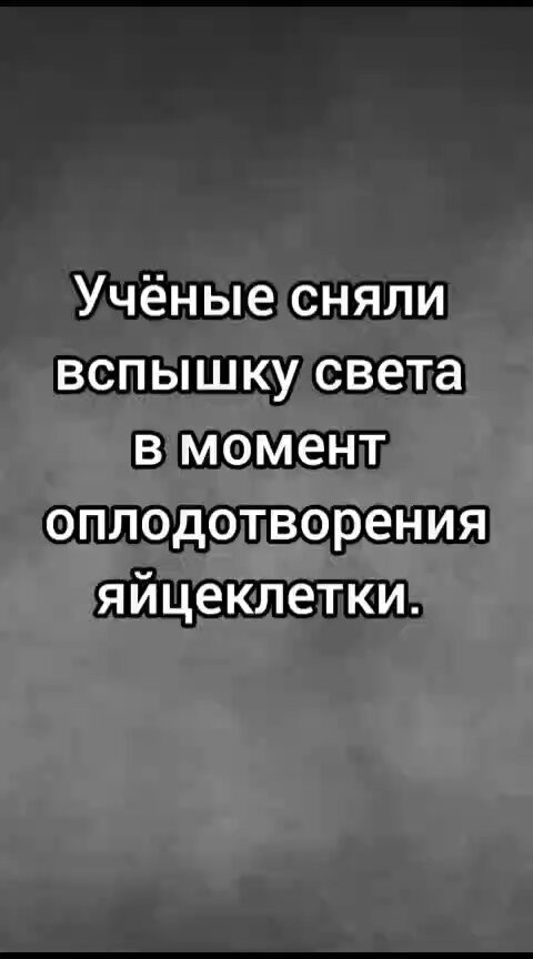 C8KIm Hn ekkUPpD.jpg
