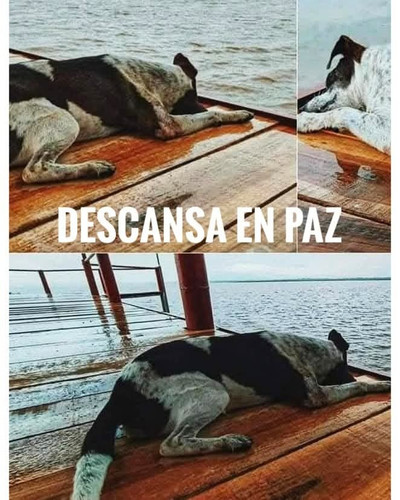 G2TSTs XoAAbE4y.jpg