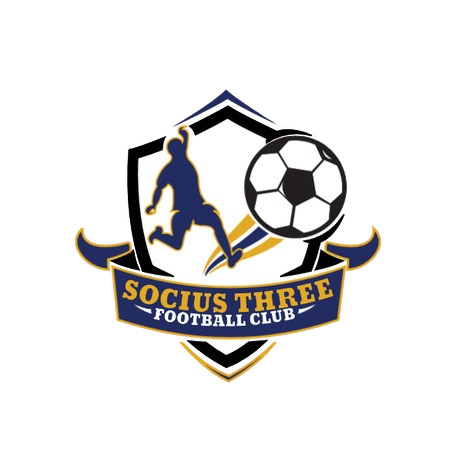 Logo Dream League Soccer Star Clipart 1758646635190 1 removebg preview.png