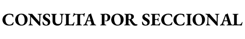 TITULO DE SECCIONAL.png