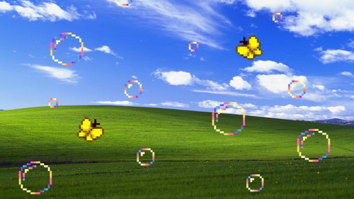bliss, butterflies, and bubbles.jpg