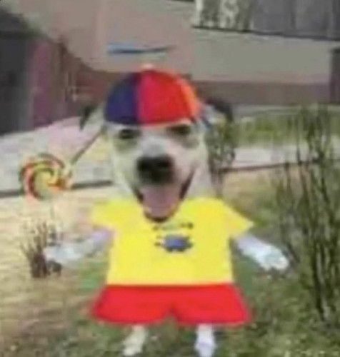 G2Wb7FiWgAAW3yh.jpg