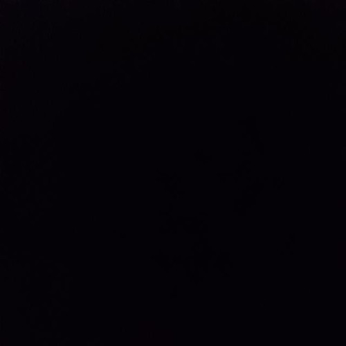 117756.jpg