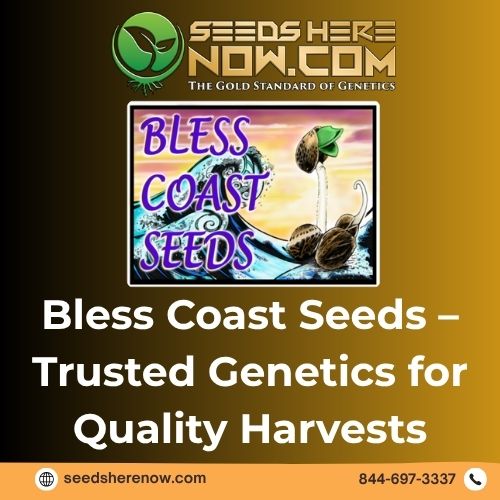 Bless Coast Seeds – Trusted Genetics for Quality Harvests.jpg