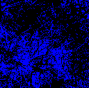 B9YoPCA