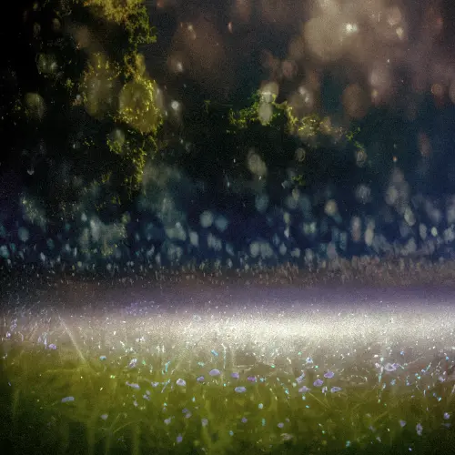 Absence Is An Unlit Porchlight.webp