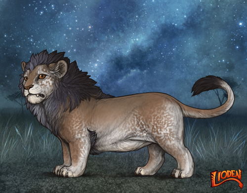 lioden wardrobe 2025 10 05T151247.580.png