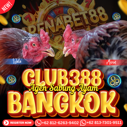 SABUNG AYAM BANGKOK | AYAM BANGKOK | BANDAR SABUNG AYAM BANGKOK | AGEN SABUNG AYAM BANGKOK.png