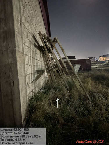 photo 1 2025 10 05 04 05 03.jpg