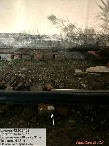 photo 4 2025 10 05 04 05 03.jpg